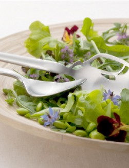 Gense Dorotea Salad Set